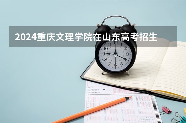 2024重庆文理学院在山东高考招生计划介绍